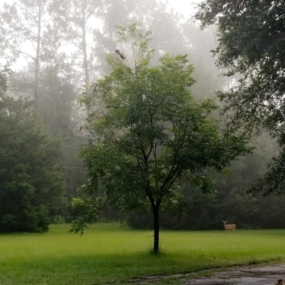 Meet your Posher, Jessica - Picture 7 of 8